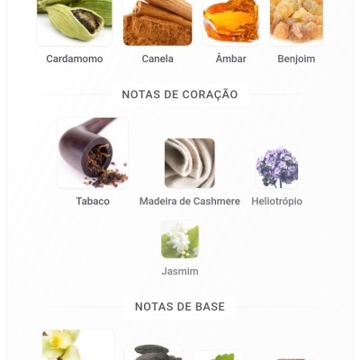 Notas de topo, coração e base com imagens de especiarias, flores e madeiras rotuladas