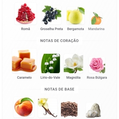 Ilustração das notas de topo, coração e base de um perfume com frutas, flores e especiarias.