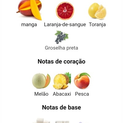 Notas olfativas com frutas e flores divididas em topo, coração e base