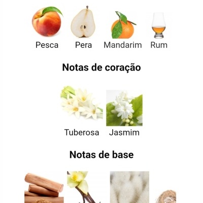 Notas de topo, coração e base de fragrância com imagens de frutas, flores e especiarias.