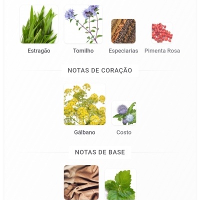 Notas olfativas organizadas em topo, coração e base com imagens representativas das plantas e materiais