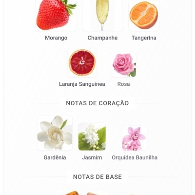 Notas olfativas: topo com morango, champanhe, tangerina, laranja sanguínea e rosa; coração com gardênia, jasmim e orquídea baunilha; base com âmbar, sândalo e castanha