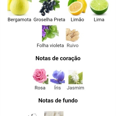 Lista de notas olfativas principais, de coração e de fundo com imagens de frutas, flores e madeiras.