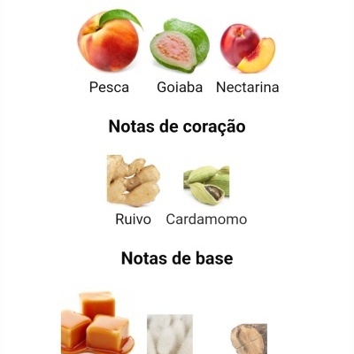 Notas olfativas de topo, coração e base com imagens de frutas, especiarias e texturas.