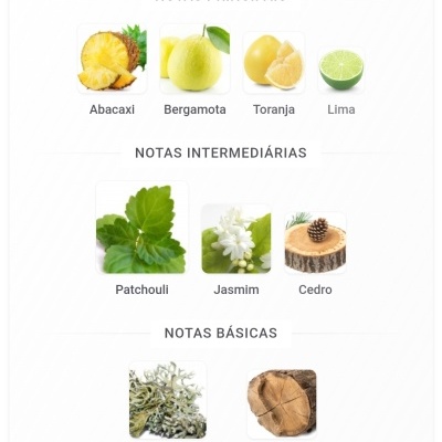 Notas olfativas do perfume com imagens de frutas e materiais naturais