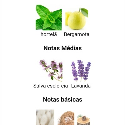 Notas olfativas principais, médias e básicas com imagens associadas de plantas e texturas.