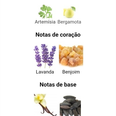 Imagem com notas aromáticas Artemísia, Bergamota, Lavanda, Benjoim, Baunilha e Fava tonka para perfume ou fragrância.