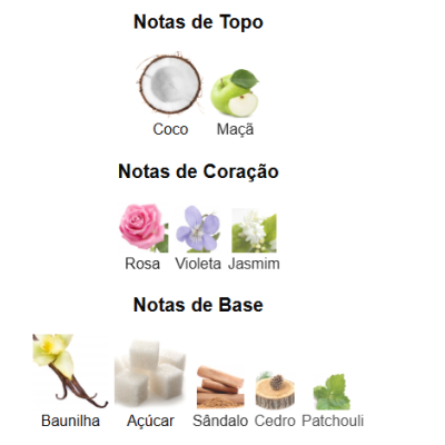 Descrição das notas de fragrância em três categorias com imagens ilustrativas de cada nota