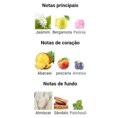 Notas principais, de coração e de fundo de fragrâncias com imagens de flores e frutos