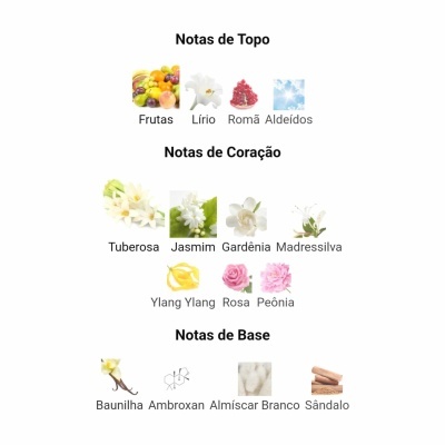 Notas olfativas divididas em notas de topo, coração e base com imagens representativas