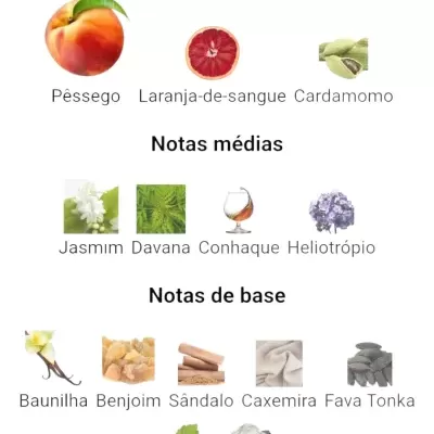 Lista de notas olfativas em português com imagens de ingredientes naturais para perfumes.