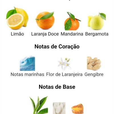 Tabela com imagens de frutas, flores e elementos naturais indicando as notas de topo, coração e base de um perfume.
