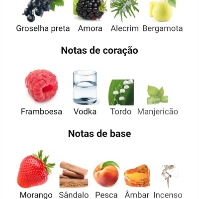 Notas de topo, coração e base de perfume com frutas, plantas e especiarias