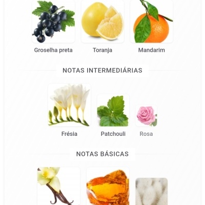 Notas olfativas principais, intermediárias e básicas com imagens de frutas, flores e especiarias.