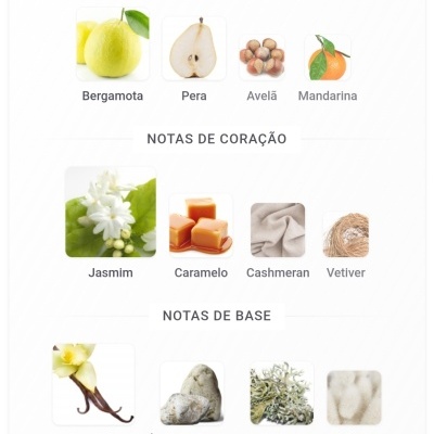 Notas olfativas de perfume com imagens de frutos, flores, texturas e minerais