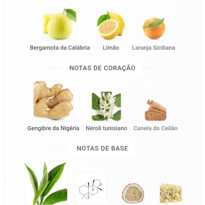 Gráfico com notas de topo, coração e base de fragrâncias citrus, especiarias e madeiras