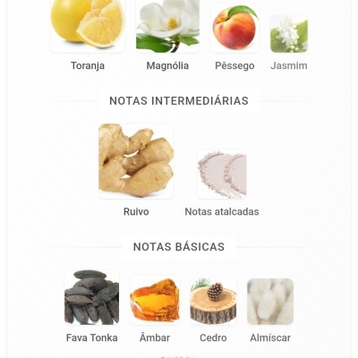 Notas olfativas de perfume organizadas em principais, intermediárias e básicas com imagens de frutas, flores, especiarias e madeiras.