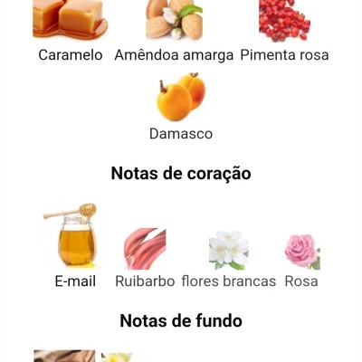 Lista de notas olfativas divididas em principais, coração e fundo com imagens correspondentes.