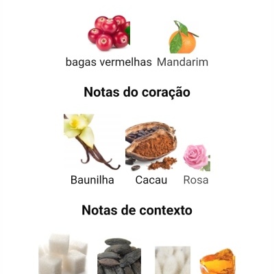 Notas principais bagas vermelhas mandarina, baunilha, cacau e rosa, açúcar, fava tonka, almíscar e âmbar em fundo branco