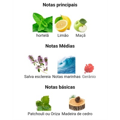 Notas olfativas principais, médias e básicas com imagens representativas de ingredientes como hortelã, limão, maçã, salva esclereia, notas marinhas, gerânio, patchouli e madeira de cedro.