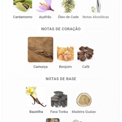 Notas de topo, coração e base com imagens de especiarias, flores, madeiras e outros elementos naturais