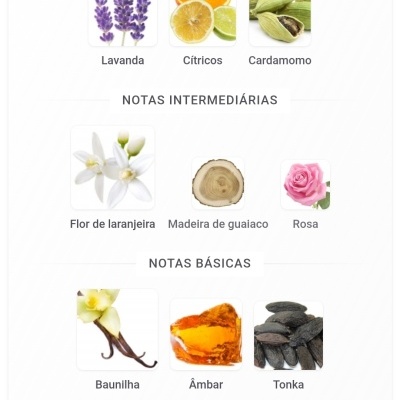Notas de perfume divididas em principais, intermediárias e básicas com imagens das fragrâncias correspondentes.