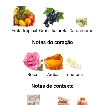 Notas principais, do coração e de contexto de fragrância com imagens de frutas tropicais, groselha preta, cardamomo, rosa, âmbar, tuberosa, madeira de caxemira, sândalo e caramelo.