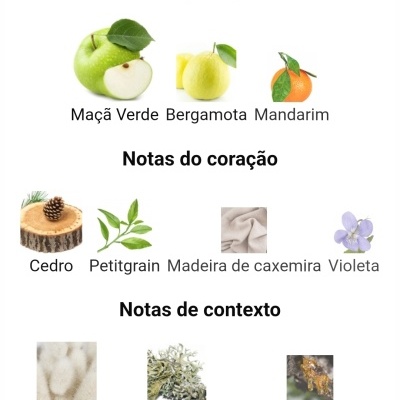 Notas principais, do coração e de contexto com imagens e nomes de frutas, flores, madeira e musgo.
