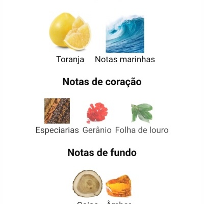 Notas olfativas de perfume divididas em principais, coração e fundo com imagens de toranja, onda do mar, especiarias, gerânio, folha de louro, gaiac e âmbar.
