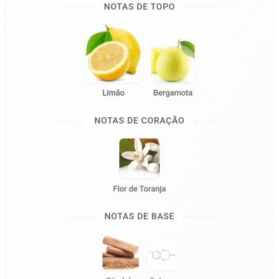 Ilustração de ingredientes aromáticos com texto em português sobre notas de topo, coração e base.