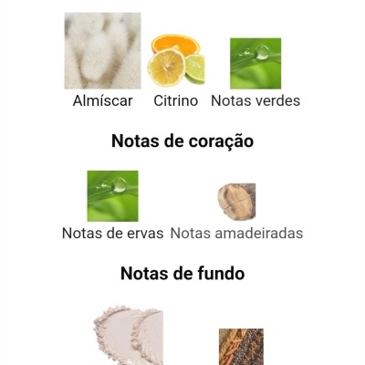 Resumo aromático dividido em notas principais, de coração e de fundo