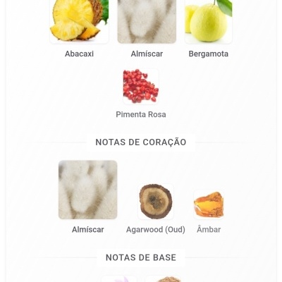 Notas olfativas de um perfume com imagens de abacaxi, almíscar, bergamota, pimenta rosa, agarwood, âmbar, açafrão e vetiver.