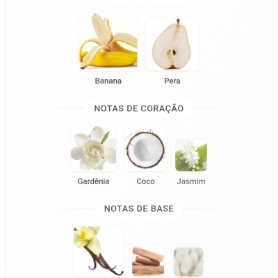 Notas olfativas com imagens de frutas, flores e especiarias organizadas em topo, coração e base