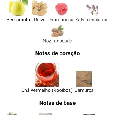 Notas olfativas de perfume com imagens de ingredientes e seus nomes em português