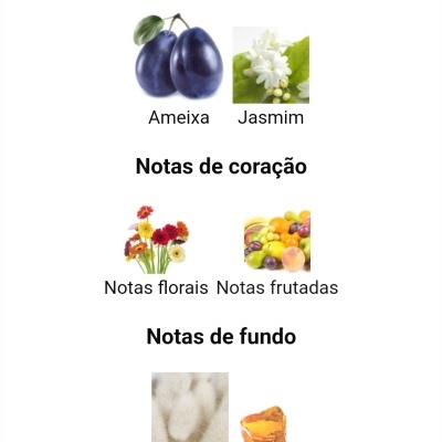 Notas principais, de coração e de fundo com imagens de ameixa, jasmim, flores, frutas, almíscar e âmbar