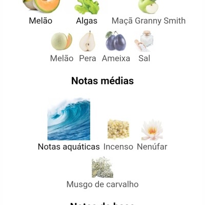 Lista de notas de perfume com imagens representando melão, algas, maçã Granny Smith, pera, ameixa, sal, ondas aquáticas, incenso, nenúfar, musgo de carvalho, cedro, âmbar, açúcar e almíscar.
