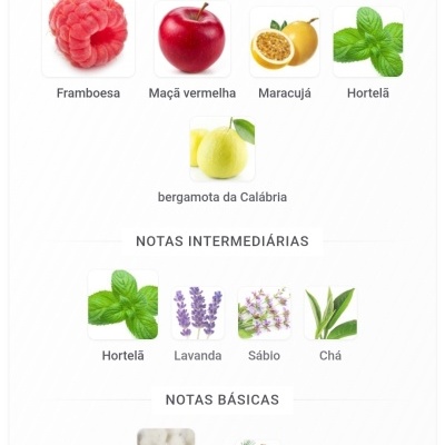 Notas principais, intermédias e básicas com imagens de frutas, ervas e materiais naturais.