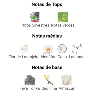 Notas olfativas de perfume divididas em cima, média e base com imagens e texto em português