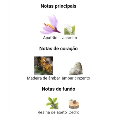 Notas olfativas de perfume divididas em principais, coração e fundo com imagens de plantas