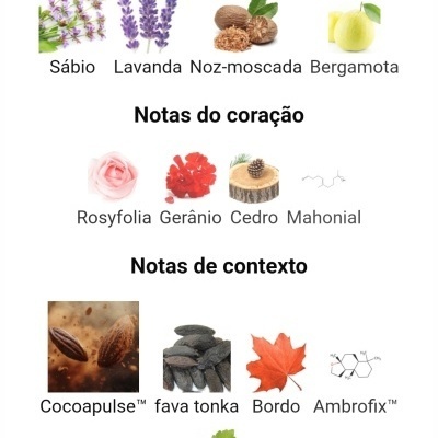 Ilustração das notas aromáticas: cabeça (Sábio, Lavanda, Noz-moscada, Bergamota), coração (Rosyfolia, Gerânio, Cedro, Mahonial), contexto (Cocoapulse™, fava tonka, Bordo, Ambrofix™)