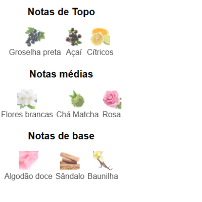 Notas olfativas divididas em topo, médias e base com texto e ícones de ingredientes.
