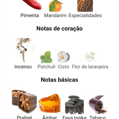 Notas aromáticas divididas em topográficas, coração e básicas com imagens representativas