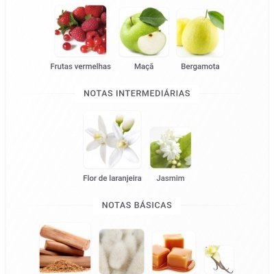 Notas principais, intermédias e básicas representadas por imagens de frutas, flores e especiarias.