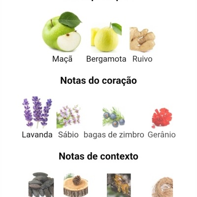 Notas olfativas de perfume com imagens de ingredientes naturais
