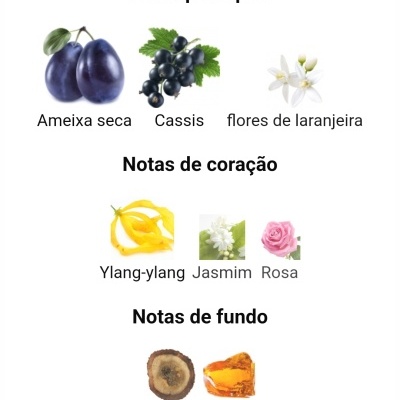 Notas olfativas principais, de coração e de fundo com imagens de ameixa seca, cassis, flores, ylang-ylang, jasmim, rosa, velhaco e âmbar.
