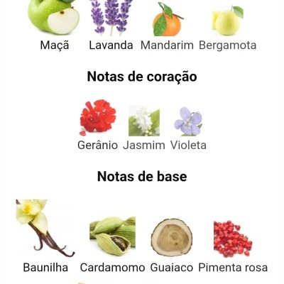 Ilustrações de ingredientes para fragrância organizados por notas de topo, coração e base.