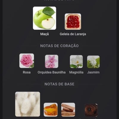 Notas de topo, coração e base de uma fragrância, incluindo maçã, geleia de laranja, rosa, orquídea baunilha, magnólia, jasmim, almíscar, âmbar, sândalo e árvore de ébano