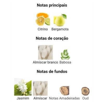 Notas principais de fragrância com citrino e bergamota, notas de coração com almíscar branco e babosa, notas de fundos com jasmim, almíscar, notas amadeiradas e oud