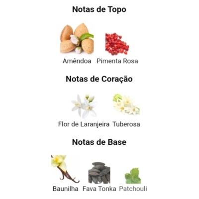 Notas olfativas de um perfume divididas em topo, coração e base com imagens das plantas e especiarias correspondentes.