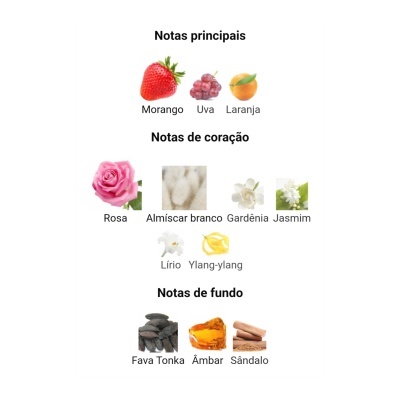 Notas principais, coração e fundo de fragrância com imagens de frutos e flores